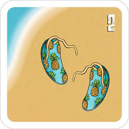 Lucky Beach