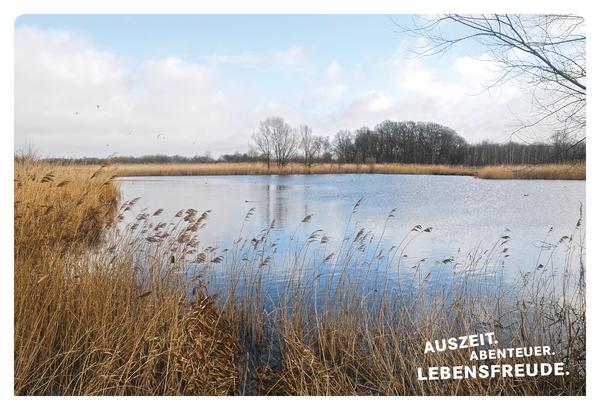 52 kleine & große Eskapaden im Münsterland