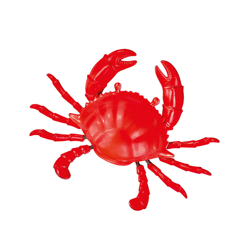 Wackelmagnet Krebs Wackelmagnet Krebs